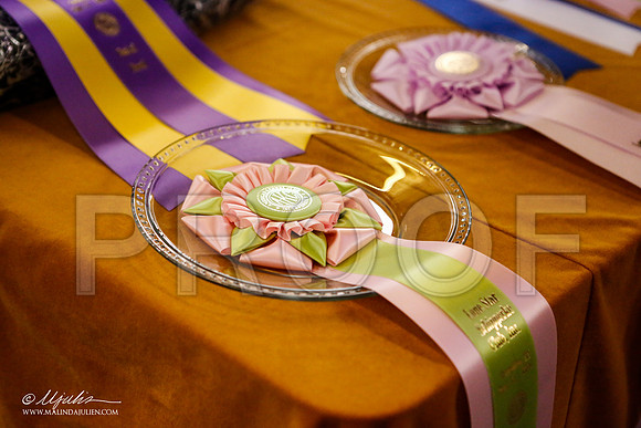 _ST_2470-2-GRCAOct2013-HR3