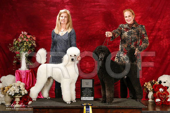 _ST_3036-2-BeltonJan2015IABCA-HR3