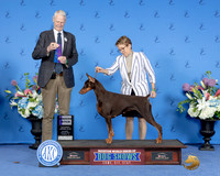 Ellen Ball Houston2024