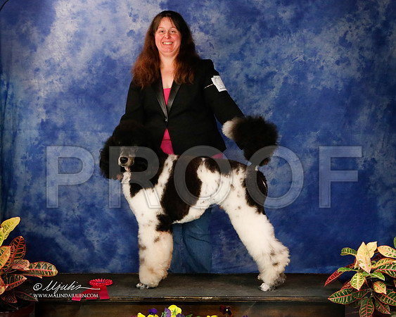 PdMC-8727-NormNov2013-HR