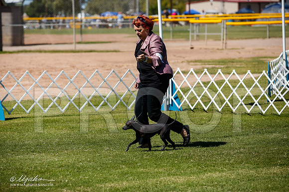 _JJ_8180-AlamogordoOct2014-HR3