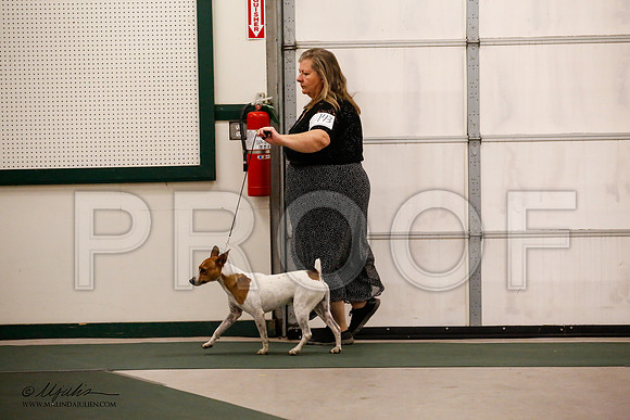 _JN_8878-NrmnNov2014-HR3