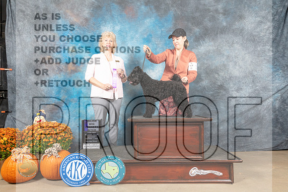 Doberman PInscher #14 Sat WB Judge Steve Keating_MJ_5638_Belton_2022_HR3