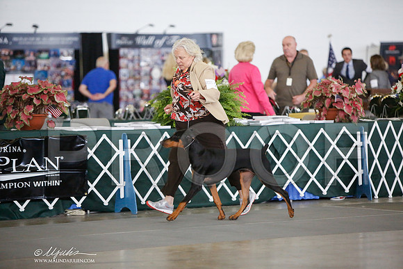 _JJ_8247-DallasJul2014-HR3