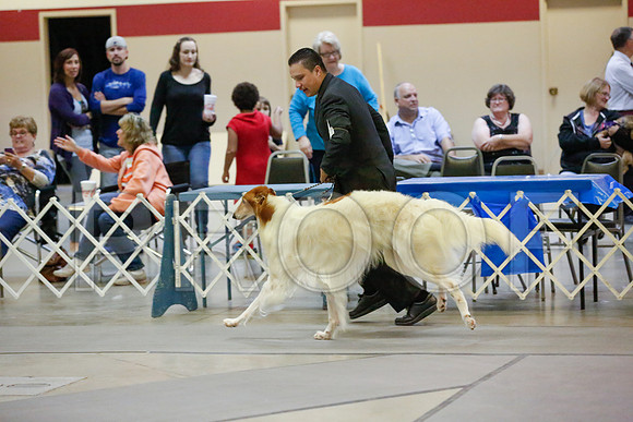 _JJ_9626-AmarilloSept2014-HR3