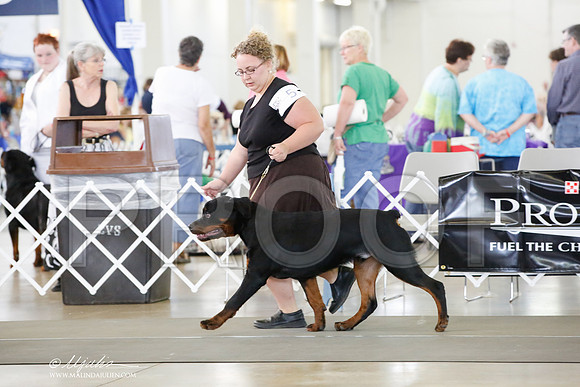 _HR_4279-DallasJul2014-HR3