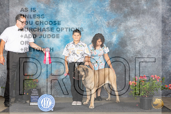 Dachshund Longhaired #20 Fri BOS Judge Aubery Nash__JP_6151_San Antonio_2024_HR3