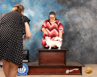 Chihuahua Long Caot #5 Sat BOW Judge Peggy McIllwaine r