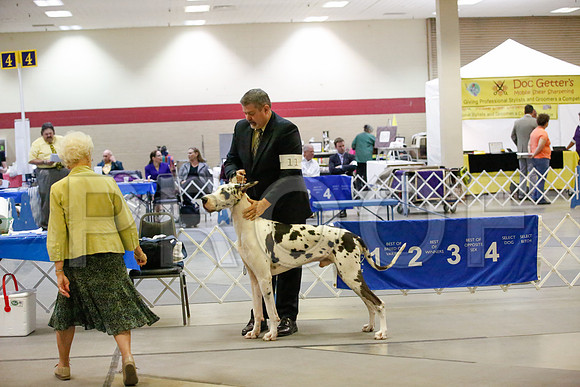 _JJ_6489-AmarilloSept2014-HR3