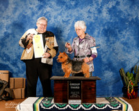 Norwich Terrier #7 Sun G3 +A2
