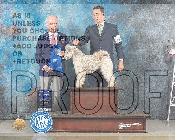 Pumi #6 Fri G1 Judge Fred Bassett _MJ_4211_Amarillo_2022_HR3