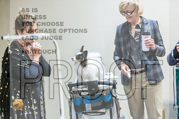 *Candids Papillon FriJJL_3605_HstnTOY_2022_HR3