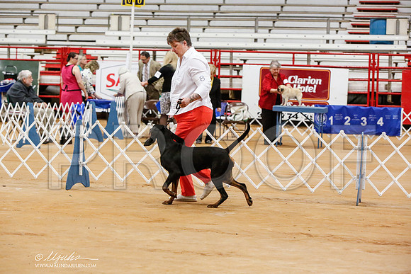 _JN_6293-TxArJun2014-HR3