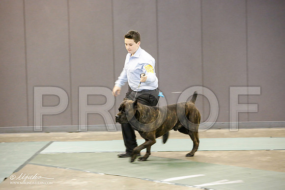 _JN_1361-BeltonJan2015-HR3
