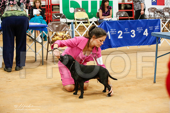 _JJ_8262-TxArJun2014-HR3