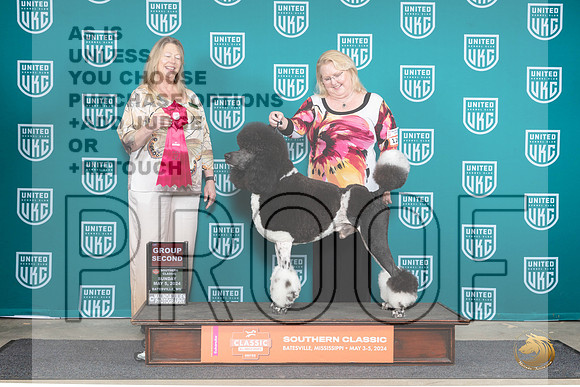 Poodle Std MC #128 Sun1 G2 Judge Pamela Perdue__JP_6558_BatesvilleMS_2024_HR3