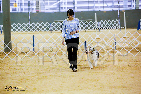 _JN_7811-ASCACollegeStationNov2014-HR3
