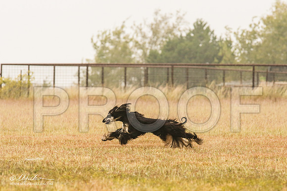 _MJ_2909-AfgBeltonOct2014-HR3