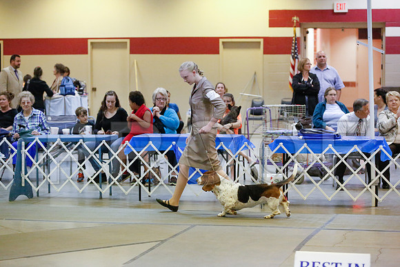 _JN_8620-AmarilloSept2014-HR3