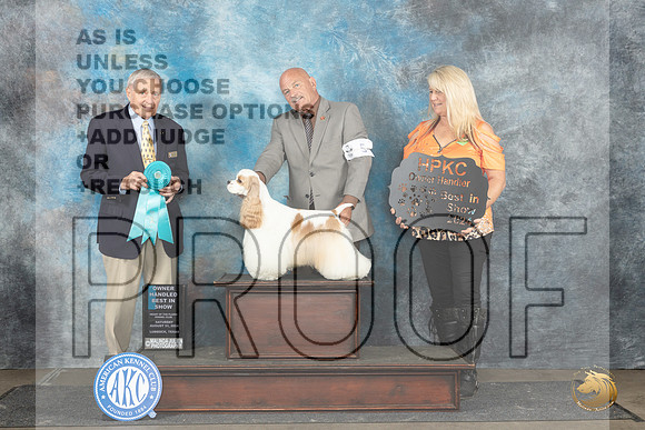 Cocker Spaniel Parti #5 Sat OHBIS Judge David Bolus__JP_3804_Lubbock_2024_HR3