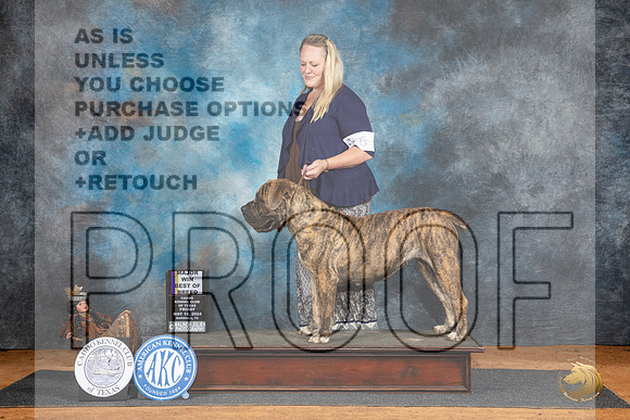 Boerbel #6 Fri BOBM Judge Denise Dean__JP_7146_MARSHALL_2024_HR3