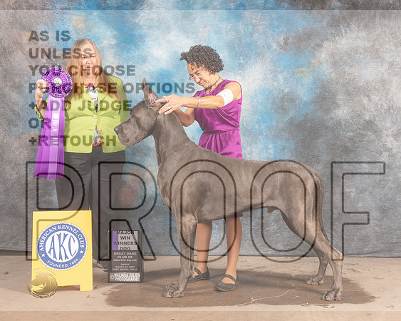 Great Dane #25 Fri WD Judge Laura Munro-MMJ_7974-FW2022-HR3