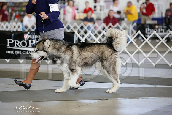 _JJ_4187-DallasJul2014-HR3