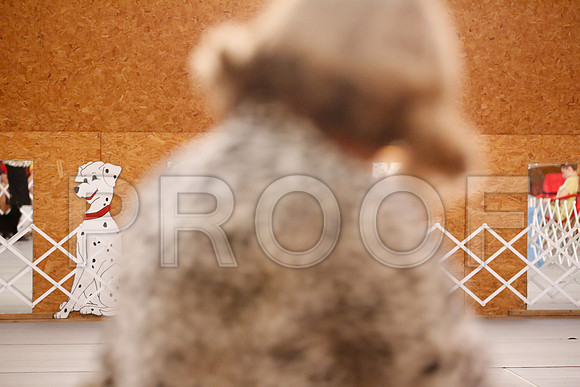 _RH_6157-CarlrolltonSept2014-HR3