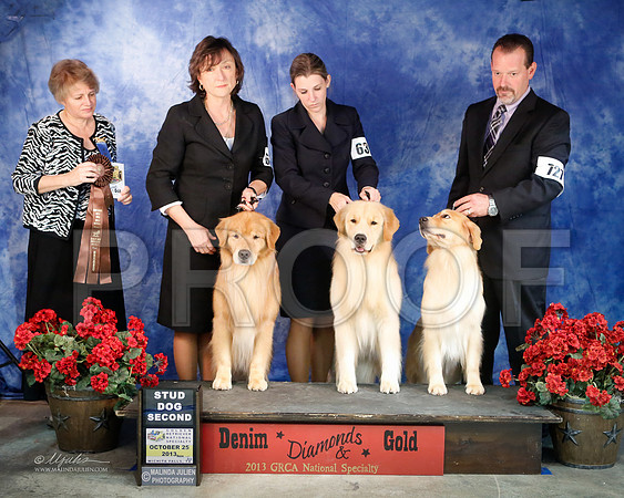 Stud-8793-WFOct2013-HR