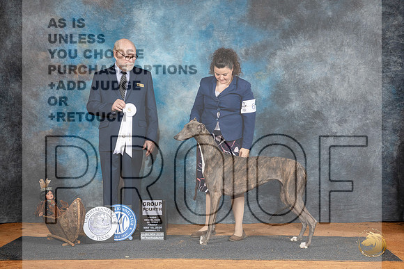 Greyhound #6 Fri G4 Judge Tim Robbins__JP_7368_MARSHALL_2024_HR3