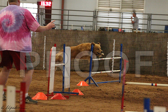 JWWSunAgility-5199LR