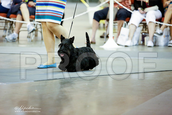 _JJ_7546-DalJul2014-HR3