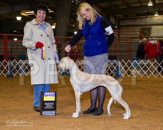 _RH_8925-GlenRoseJan2015-HR3