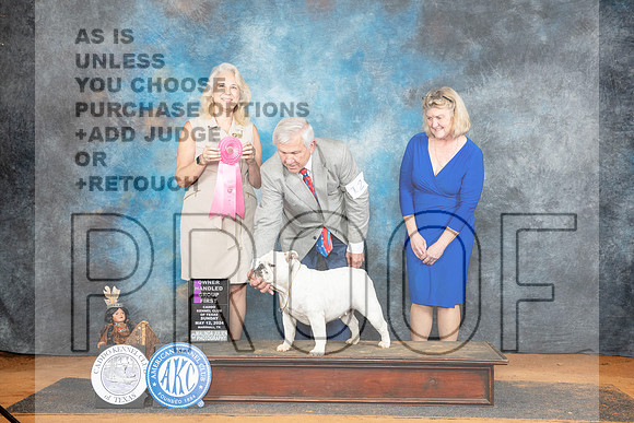 Bulldog #12 Sun OHG1 Judge Pamela Wilson__JP_8967_MARSHALL_2024_HR3