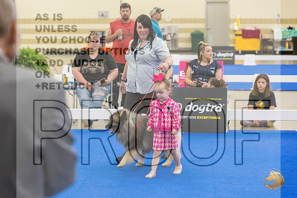 Juniors Ring Sat_JJL_2466_Premier_2024_HR3