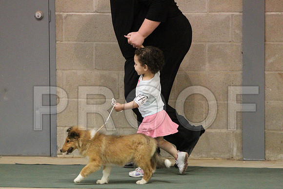 JuniorCCL_1278LR