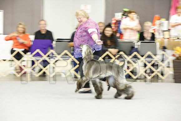 _JJ_1753-AfgBeltonOct2014-HR3