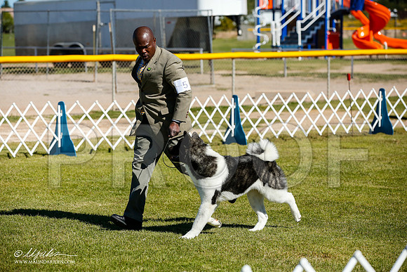 _JJ_9843-AlamogordoOct2014-HR3