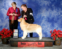 #841 Wed Sweeps 2nd 9-12 Dog Emery's Walk the Line at Cinamon Bay Brianna Bischoff Judge Alison Desmarais