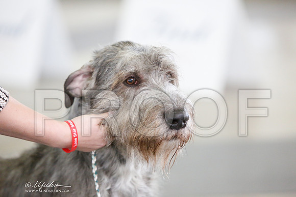 _JJ_1538-DallasJul2014-HR3