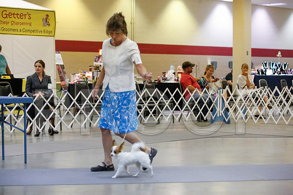 _JJ_1109-AmarilloSept2014-HR3