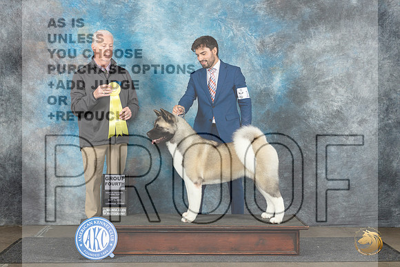 Akita #19 Sun G3 Judge Dr Steve Keating__JP_4489_Lubbock_2024_HR3