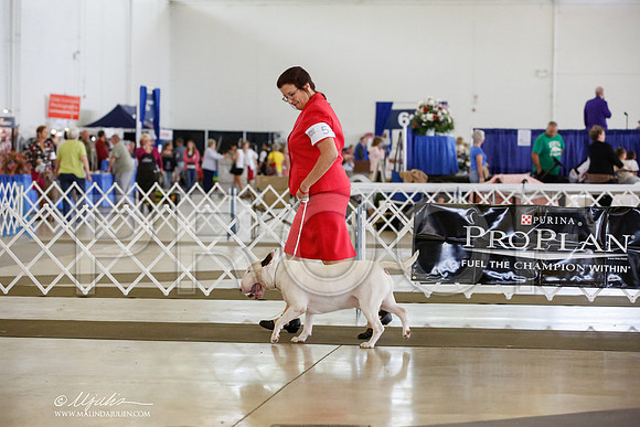 _JN_5211-DallasJul2014-HR3