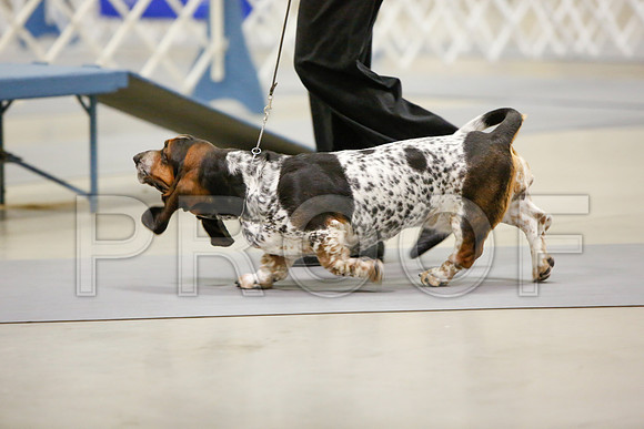 _JN_3024-AmarilloSept2014-HR3