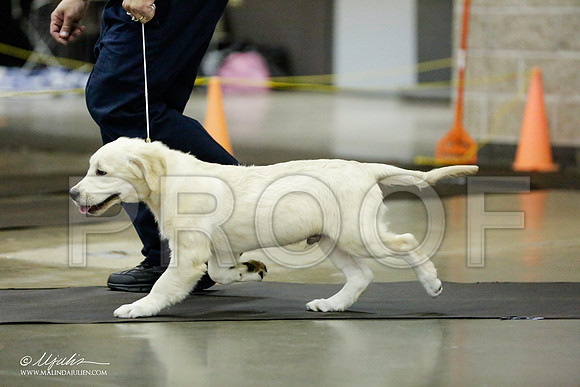 _RH_0964-BeltonJan2015IABCA-HR3