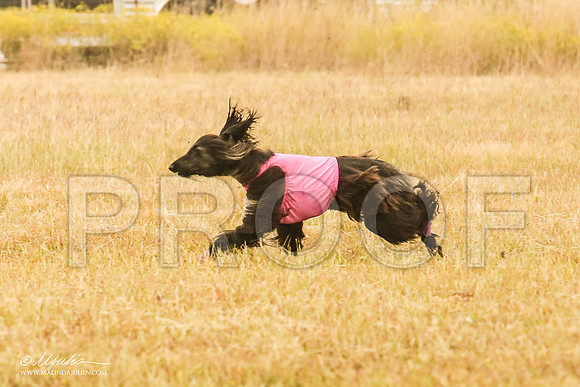 _MJ_3383-AfgBeltonOct2014-HR3