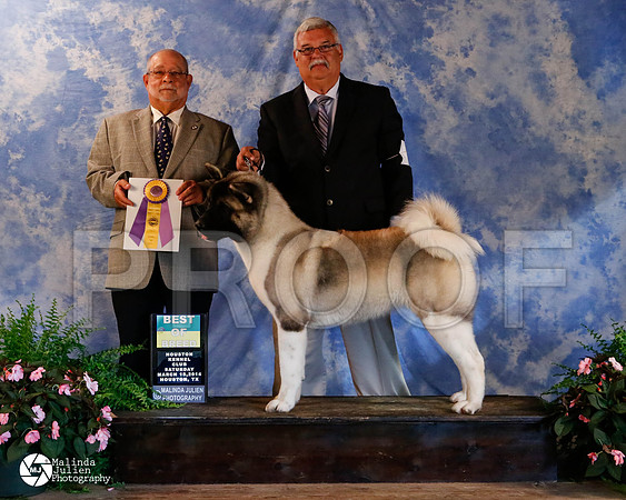 akita-9957-HstnMar2014-HR3