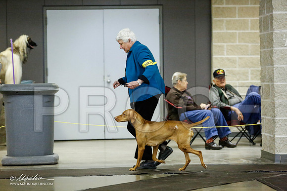 _RH_1200-BeltonJan2015IABCA-HR3
