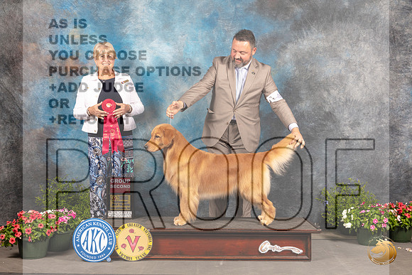 Golden Retreiver #46 Sat G2 Judge Debra Thornton_MJ_0328_SA_2022_HR3
