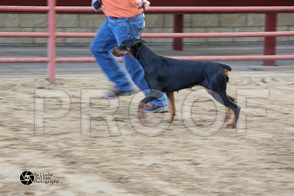 MJ2_0974-WacoFeb14-HR